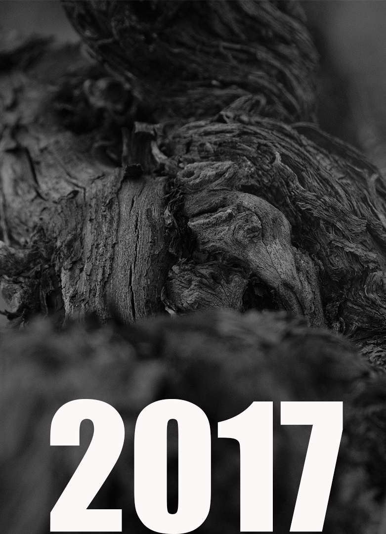 AÑADA 2017