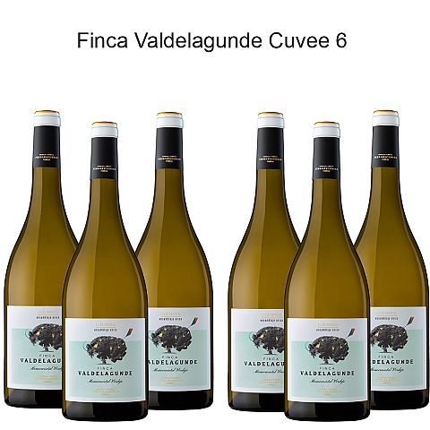 Pack 6 Pedro Escudero Cuvée Especial