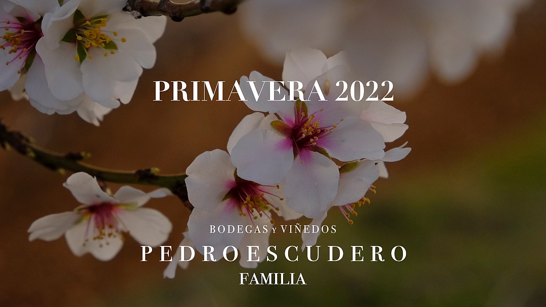 Primavera 2022 - Semana Santa