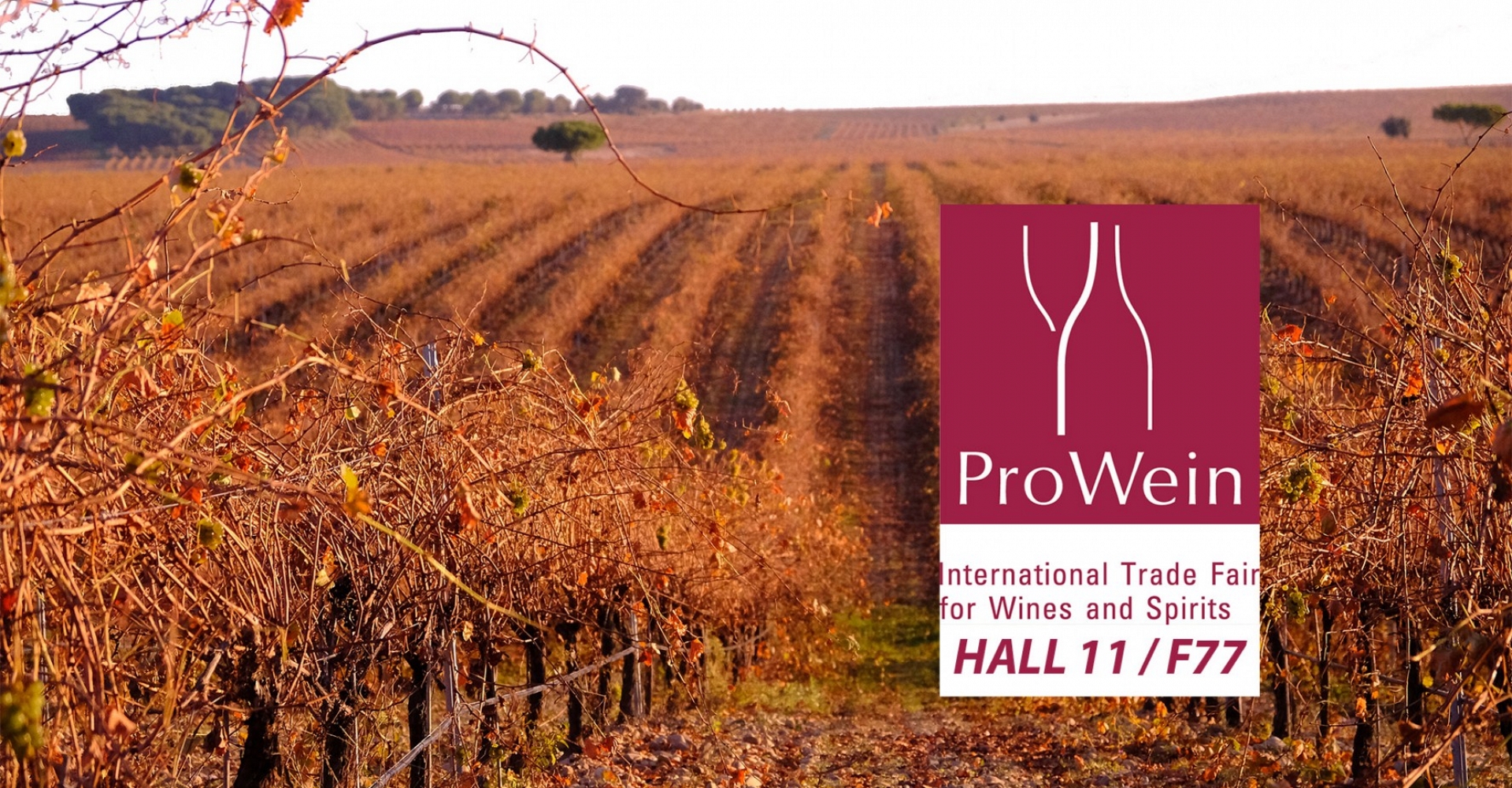 we look forward to seeing you!